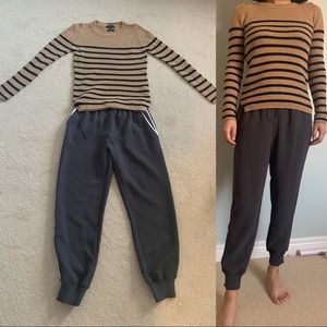 Stylish Aritzia Wilfred Pants in XXS